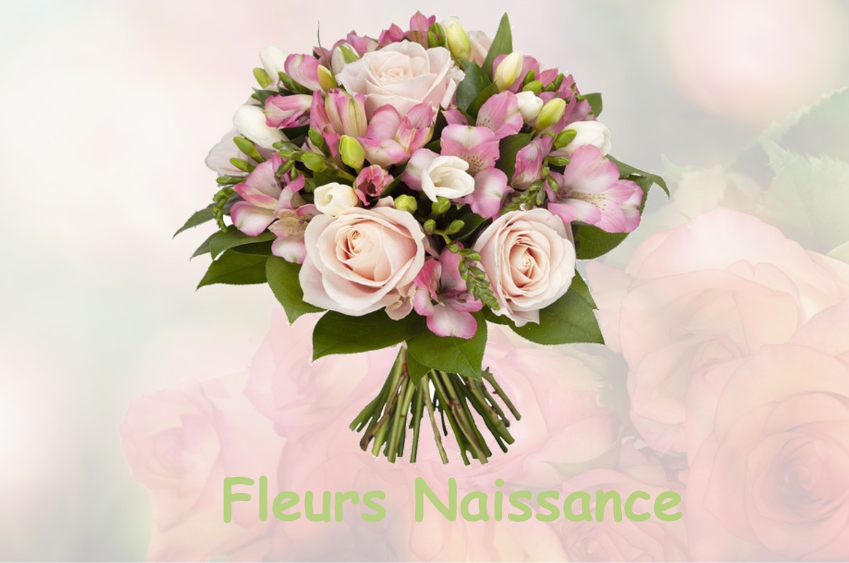 fleurs naissance RIENCOURT-LES-BAPAUME